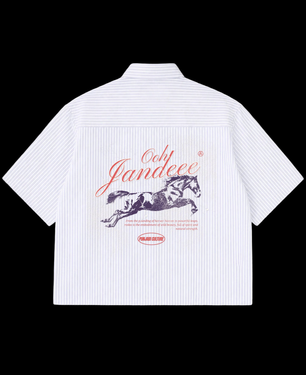 Blue Striped Oxford Boxy Shirt Back Design